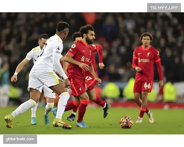 贝尔格莱德红星主场六战全胜，防守端展现强大压迫力